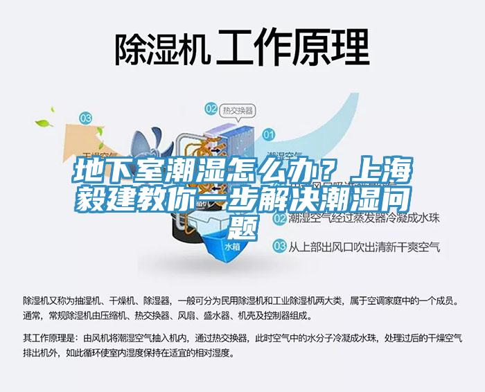 地下室潮濕怎么辦？上海毅建教你一步解決潮濕問(wèn)題