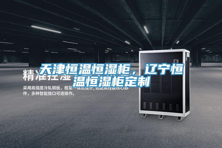 天津恒溫恒濕柜，遼寧恒溫恒濕柜定制