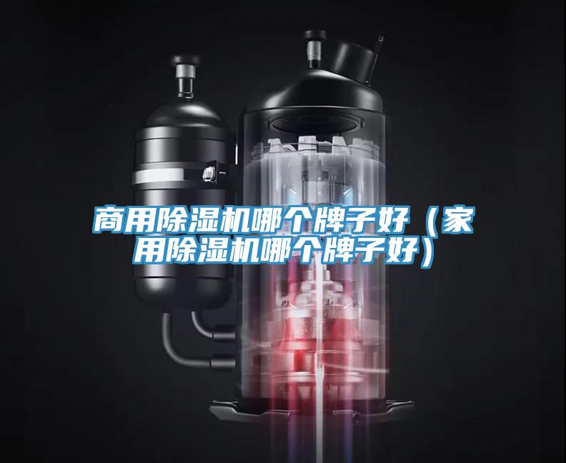 商用除濕機哪個(gè)牌子好（家用除濕機哪個(gè)牌子好）