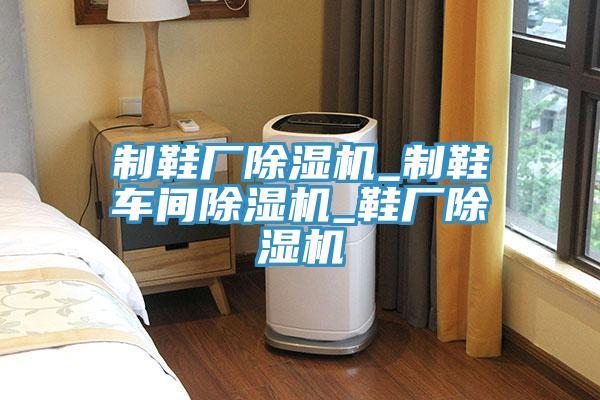 制鞋廠(chǎng)除濕機_制鞋車(chē)間除濕機_鞋廠(chǎng)除濕機