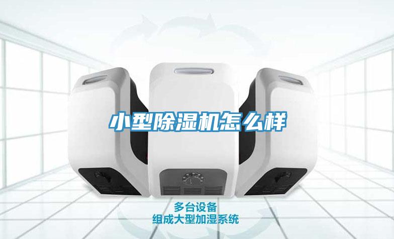 小型除濕機怎么樣