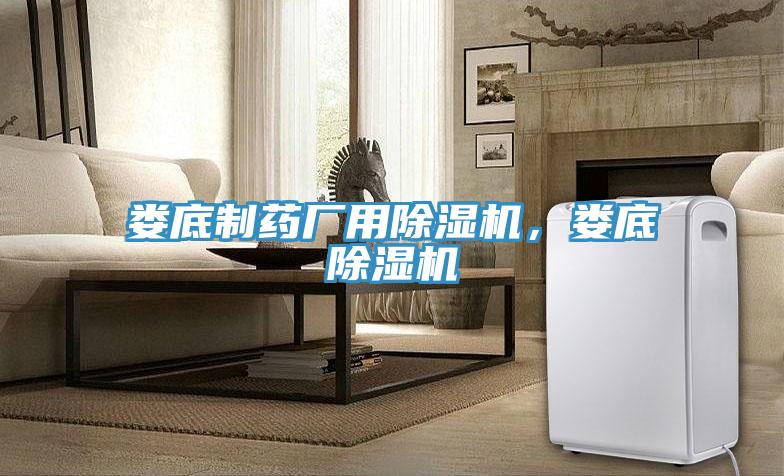 婁底制藥廠(chǎng)用除濕機，婁底除濕機