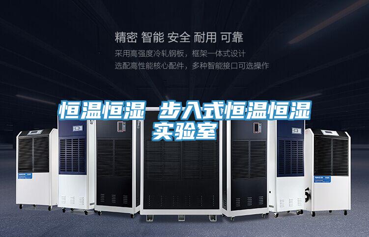 恒溫恒濕 步入式恒溫恒濕實(shí)驗室