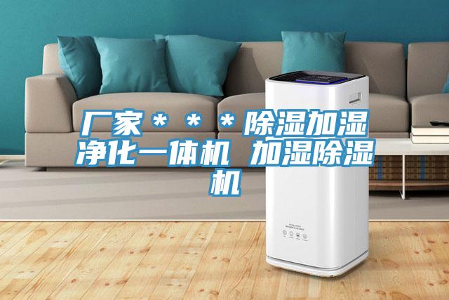 廠(chǎng)家***除濕加濕凈化一體機 加濕除濕機