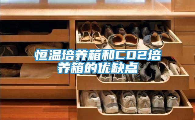恒溫培養箱和CO2培養箱的優(yōu)缺點(diǎn)
