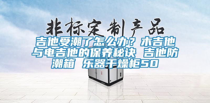 吉他受潮了怎么辦？木吉他與電吉他的保養秘訣 吉他防潮箱 樂(lè )器干燥柜50
