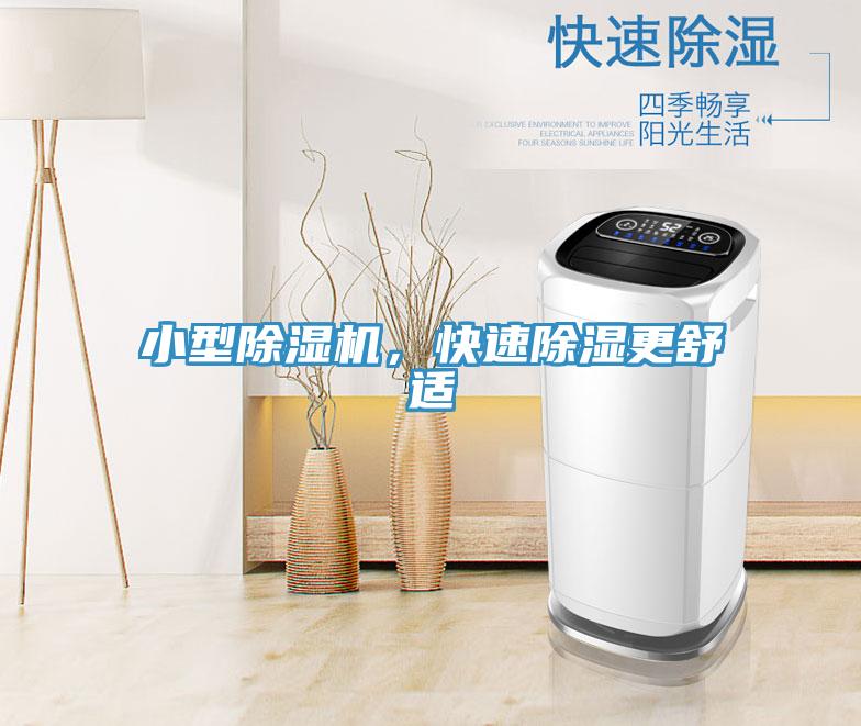 小型除濕機，快速除濕更舒適