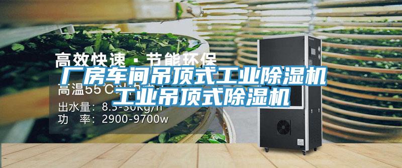 廠(chǎng)房車(chē)間吊頂式工業(yè)除濕機 工業(yè)吊頂式除濕機
