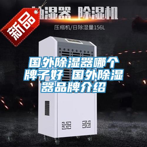 國外除濕器哪個(gè)牌子好 國外除濕器品牌介紹