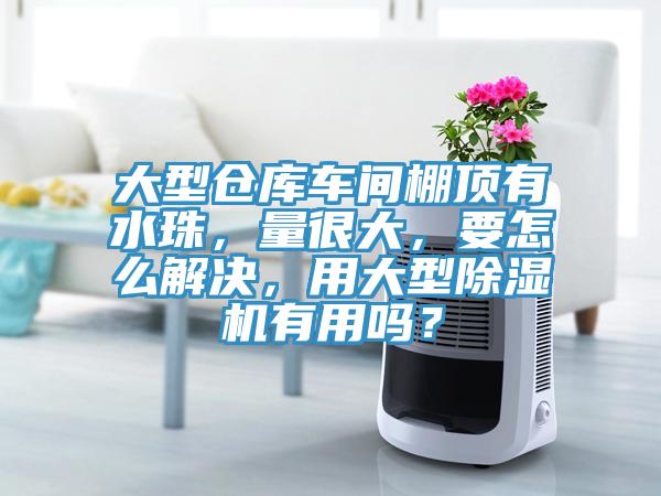 大型倉庫車(chē)間棚頂有水珠，量很大，要怎么解決，用大型除濕機有用嗎？