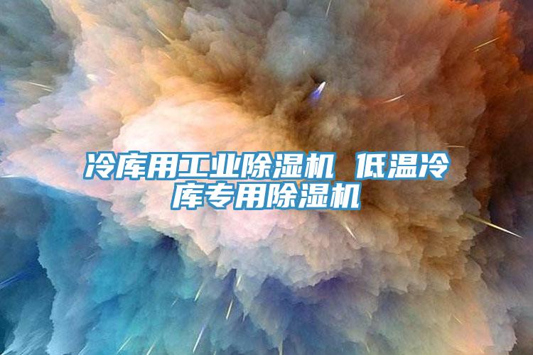 冷庫用工業(yè)除濕機 低溫冷庫專(zhuān)用除濕機