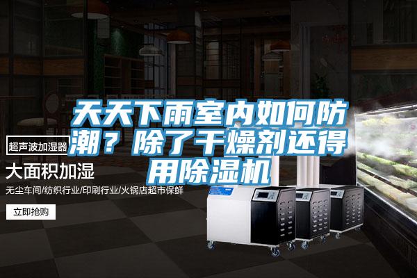 天天下雨室內如何防潮？除了干燥劑還得用除濕機