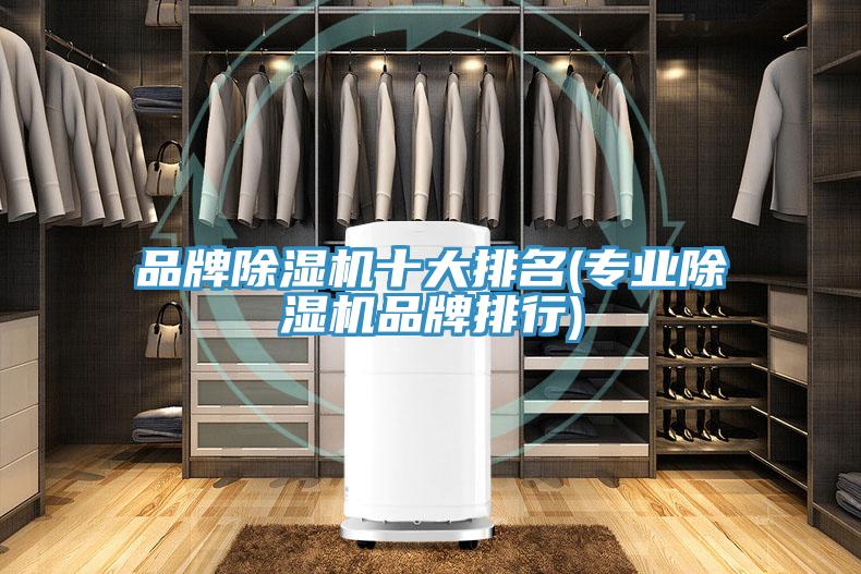 品牌除濕機十大排名(專(zhuān)業(yè)除濕機品牌排行)