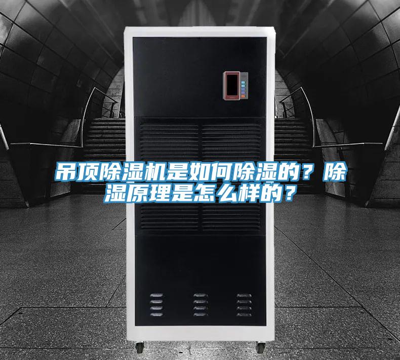 吊頂除濕機是如何除濕的？除濕原理是怎么樣的？