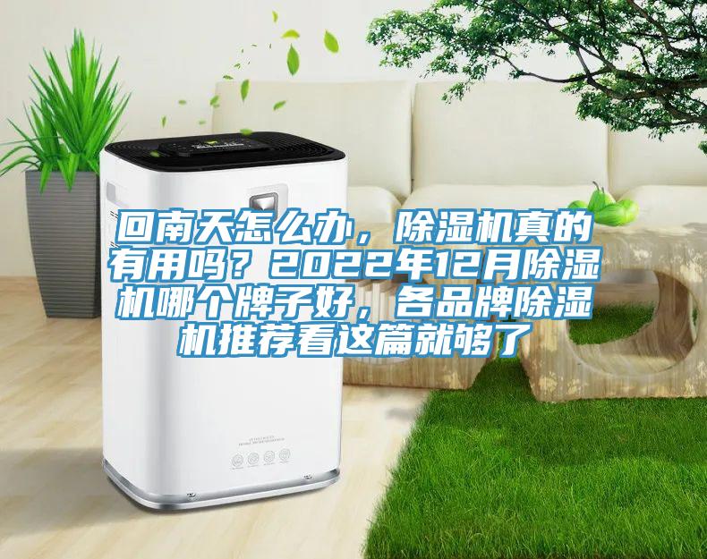 回南天怎么辦，除濕機真的有用嗎？2022年12月除濕機哪個(gè)牌子好，各品牌除濕機推薦看這篇就夠了