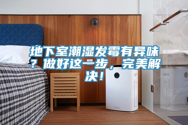 地下室潮濕發(fā)霉有異味？做好這一步，完美解決！