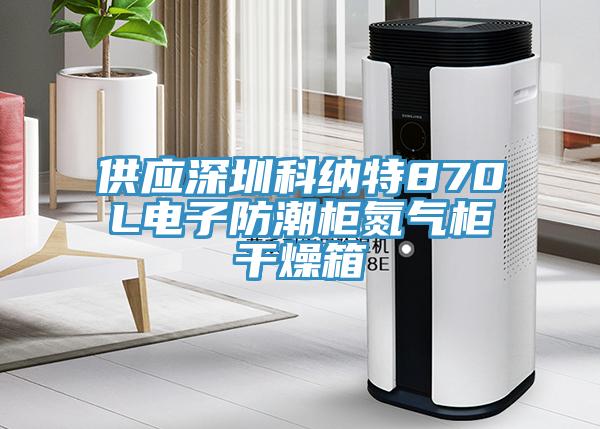 供應深圳科納特870L電子防潮柜氮氣柜干燥箱