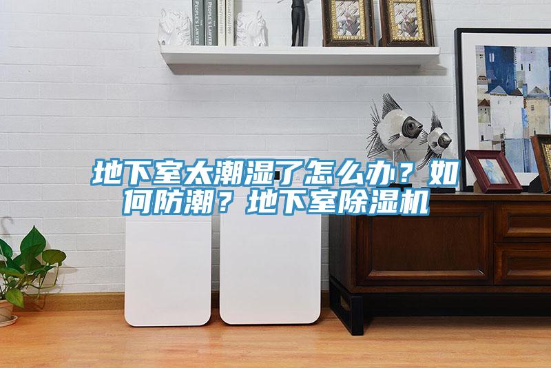 地下室太潮濕了怎么辦？如何防潮？地下室除濕機