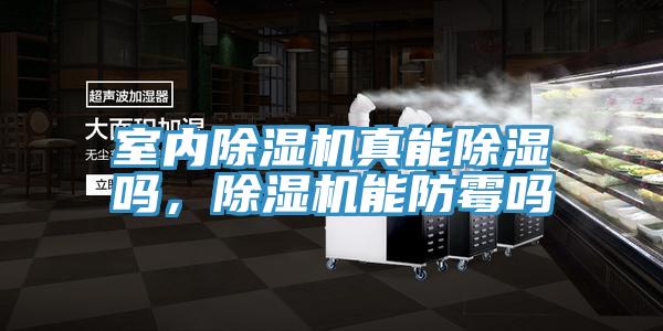 室內除濕機真能除濕嗎，除濕機能防霉嗎
