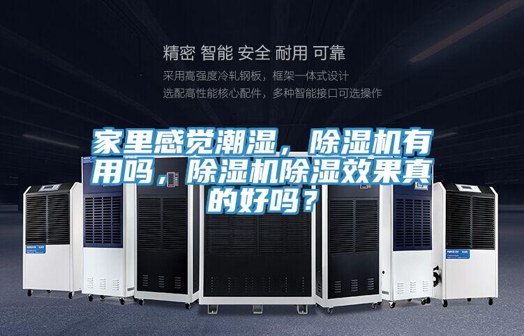 家里感覺(jué)潮濕，除濕機有用嗎，除濕機除濕效果真的好嗎？