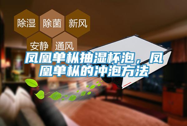 鳳凰單樅抽濕杯泡，鳳凰單樅的沖泡方法