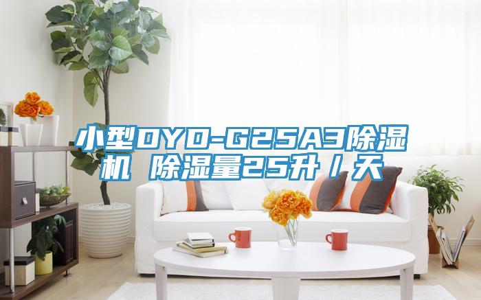 小型DYD-G25A3除濕機 除濕量25升／天