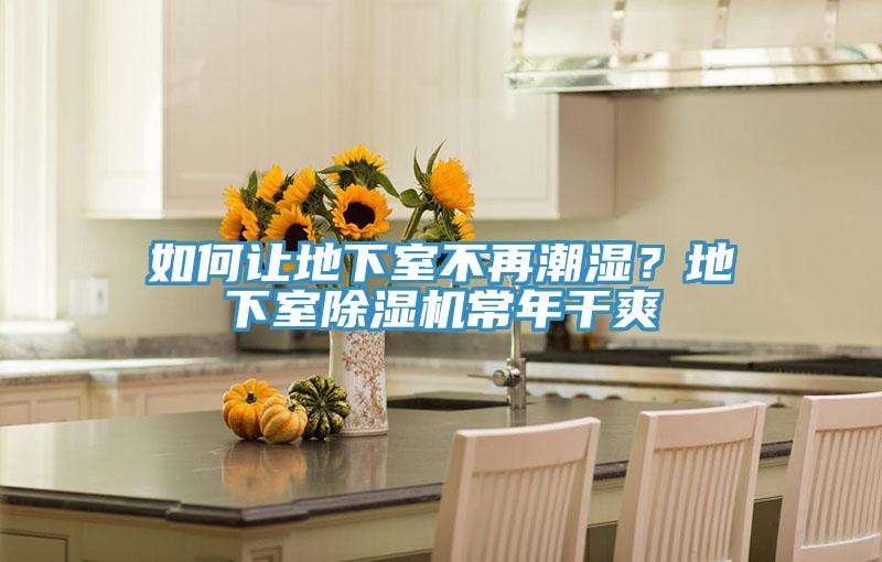 如何讓地下室不再潮濕？地下室除濕機常年干爽