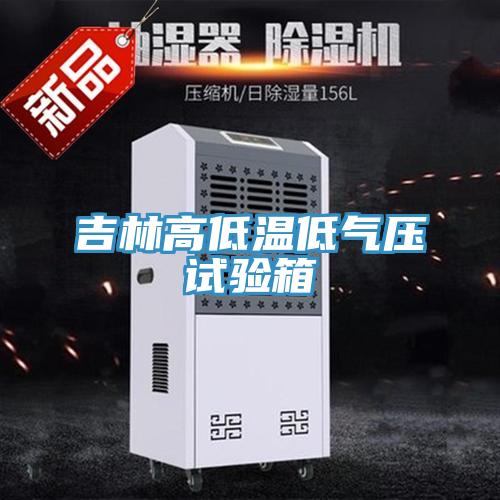 吉林高低溫低氣壓試驗箱