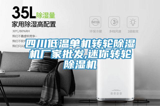 四川低溫單機轉輪除濕機廠(chǎng)家批發(fā),迷你轉輪除濕機