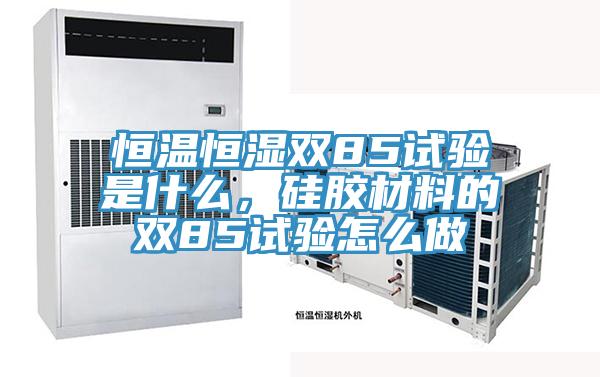 恒溫恒濕雙85試驗是什么，硅膠材料的雙85試驗怎么做