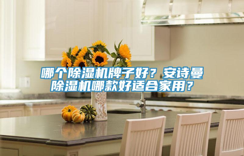 哪個(gè)除濕機牌子好？安詩(shī)曼除濕機哪款好適合家用？