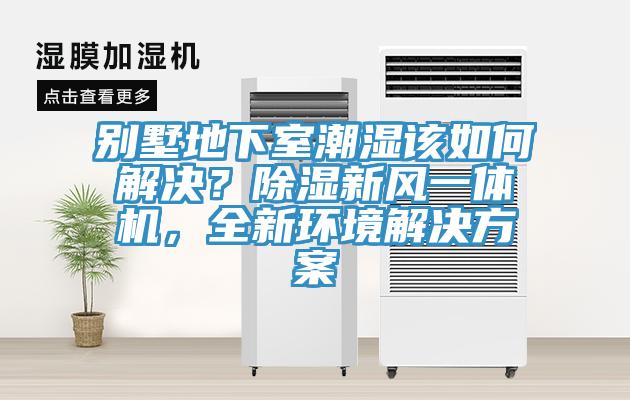 別墅地下室潮濕該如何解決？除濕新風(fēng)一體機，全新環(huán)境解決方案