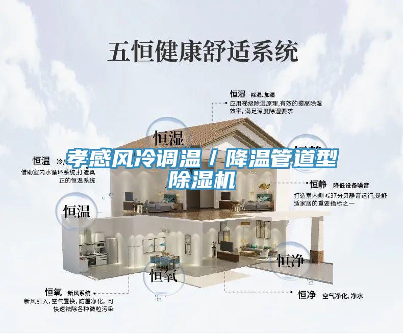 孝感風(fēng)冷調溫／降溫管道型除濕機