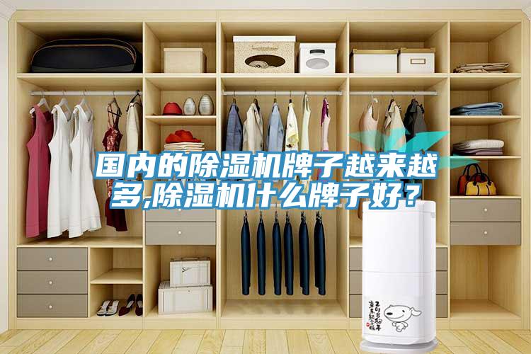 國內的除濕機牌子越來(lái)越多,除濕機什么牌子好？