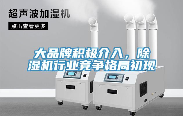大品牌積極介入，除濕機行業(yè)競爭格局初現