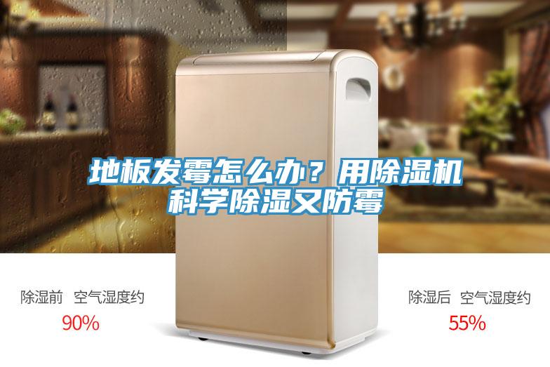 地板發(fā)霉怎么辦？用除濕機科學(xué)除濕又防霉
