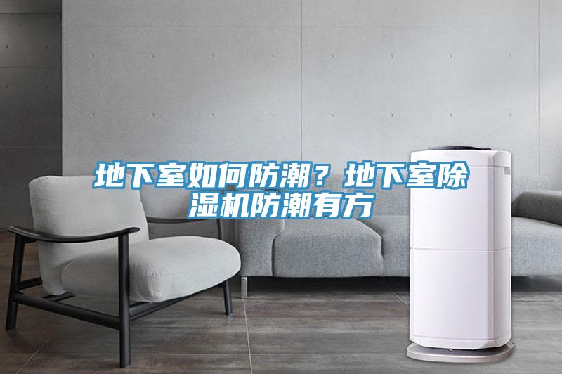 地下室如何防潮？地下室除濕機防潮有方