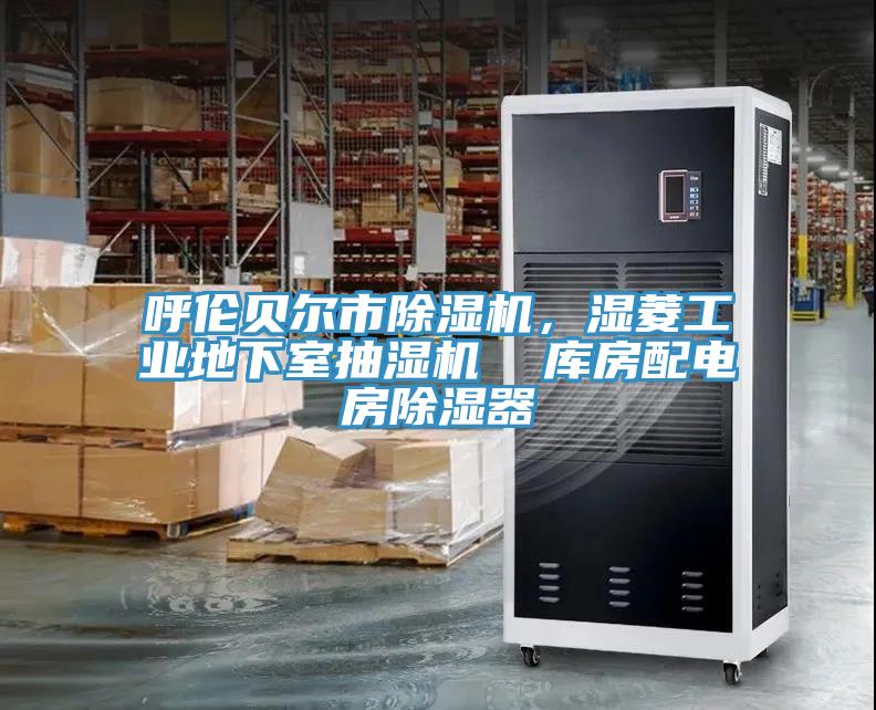 呼倫貝爾市除濕機，濕菱工業(yè)地下室抽濕機  庫房配電房除濕器