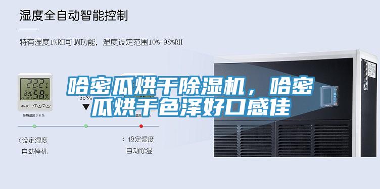 哈密瓜烘干除濕機，哈密瓜烘干色澤好口感佳
