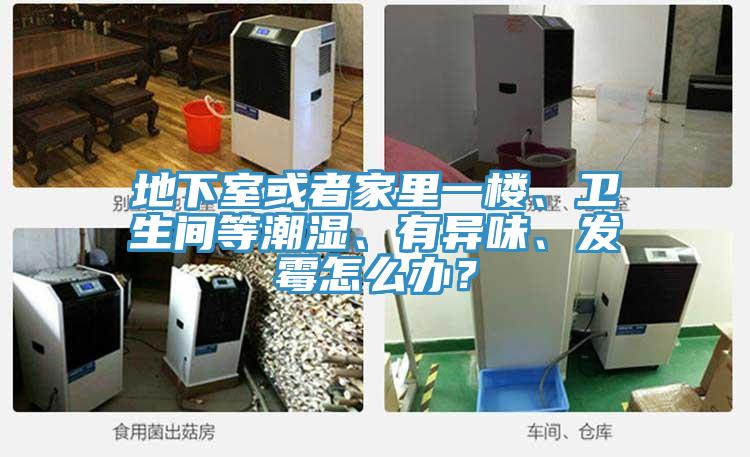地下室或者家里一樓、衛生間等潮濕、有異味、發(fā)霉怎么辦？