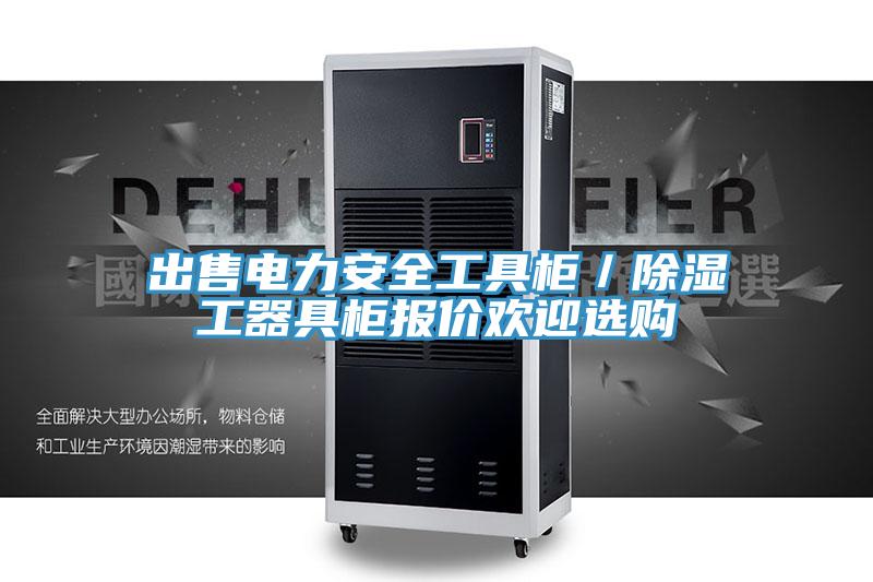 出售電力安全工具柜／除濕工器具柜報價(jià)歡迎選購