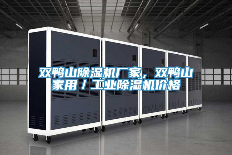 雙鴨山除濕機廠(chǎng)家，雙鴨山家用／工業(yè)除濕機價(jià)格