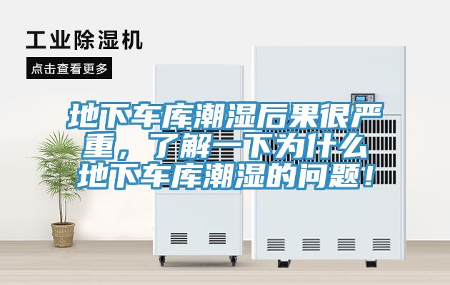 地下車(chē)庫潮濕后果很?chē)乐?，了解一下為什么地下?chē)庫潮濕的問(wèn)題！