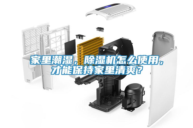 家里潮濕，除濕機怎么使用，才能保持家里清爽？