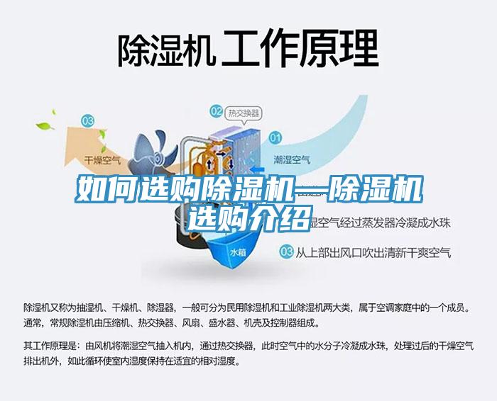 如何選購除濕機—除濕機選購介紹