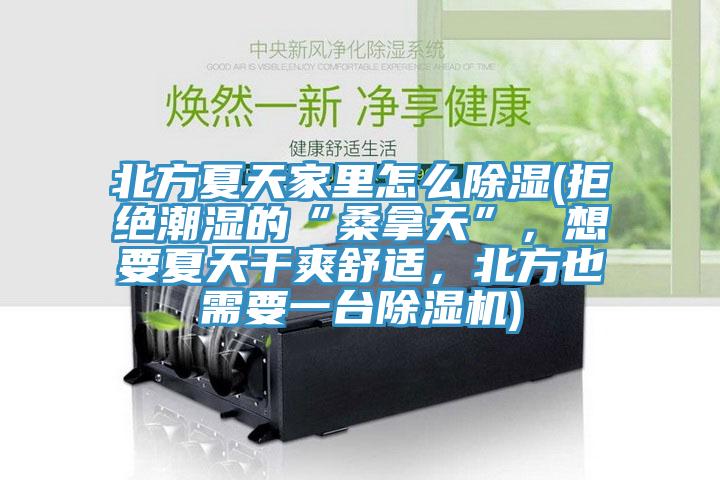 北方夏天家里怎么除濕(拒絕潮濕的“桑拿天”，想要夏天干爽舒適，北方也需要一臺除濕機)