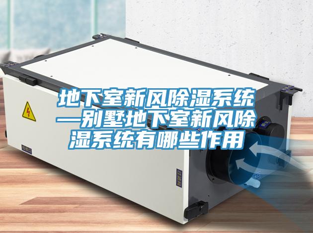 地下室新風(fēng)除濕系統—別墅地下室新風(fēng)除濕系統有哪些作用
