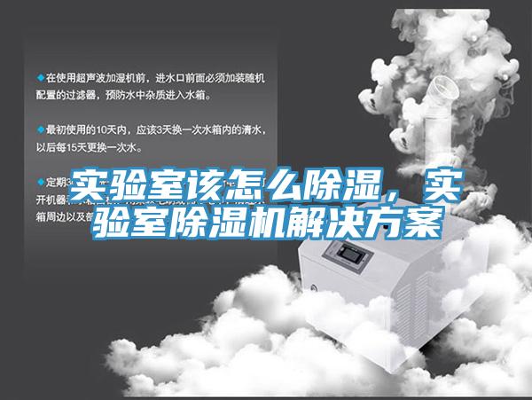 實(shí)驗室該怎么除濕，實(shí)驗室除濕機解決方案