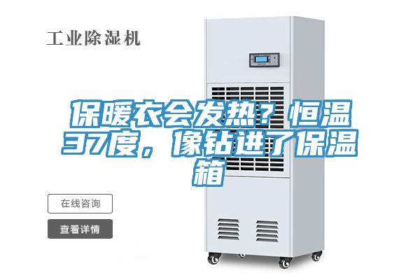 保暖衣會(huì )發(fā)熱？恒溫37度，像鉆進(jìn)了保溫箱