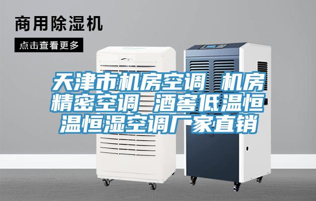 天津市機房空調 機房精密空調 酒窖低溫恒溫恒濕空調廠(chǎng)家直銷(xiāo)